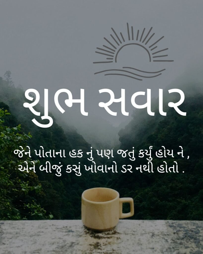 શુભ સવાર 

જેને પોતાના હક નું પણ જતું કર્યું હોય ને ,
એને બીજું કસું ખોવાનો ડર નથી હોતો .