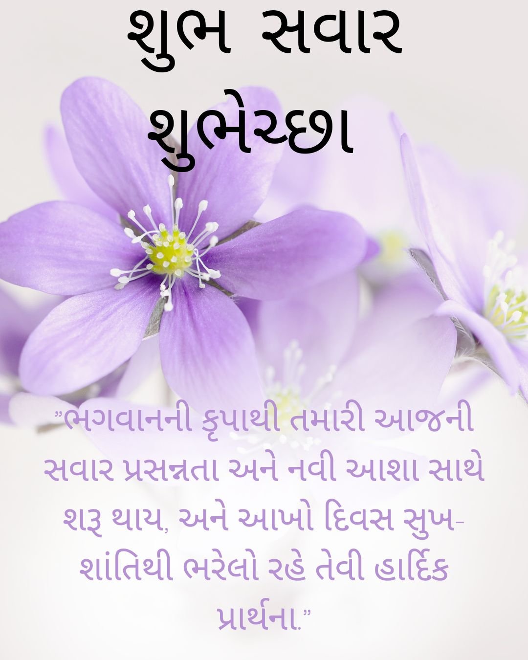 શુભ સવાર ચિંતન: સફળતાના પાયામાં છુપાયેલી સવારની તાજગી