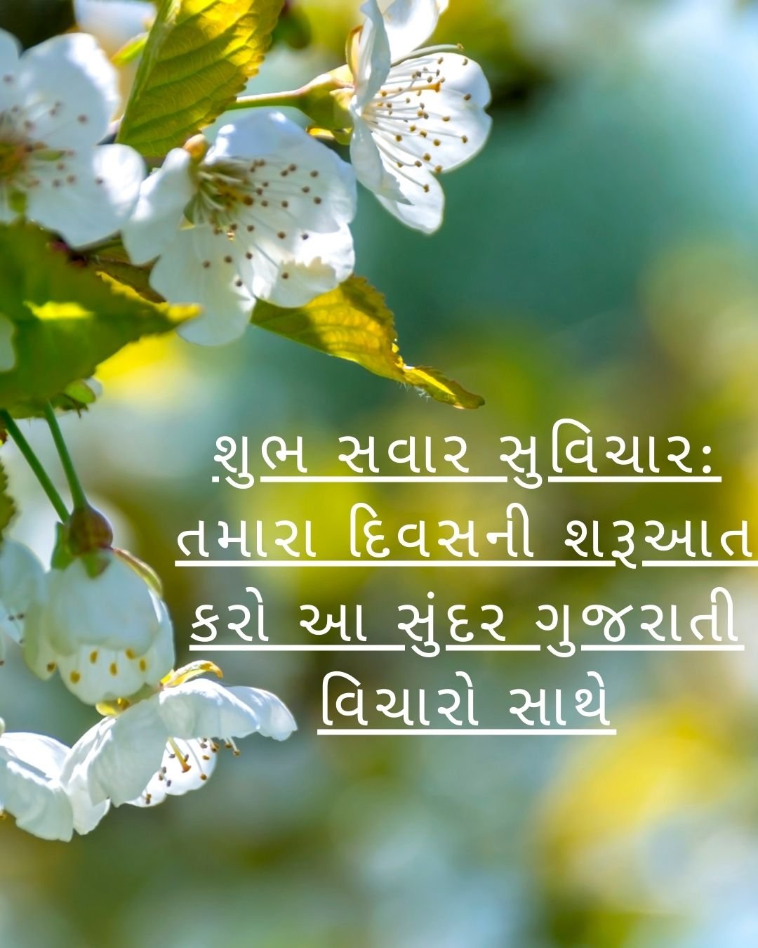 શુભ સવાર સુવિચાર: તમારા દિવસની શરૂઆત કરો આ સુંદર ગુજરાતી વિચારો સાથે